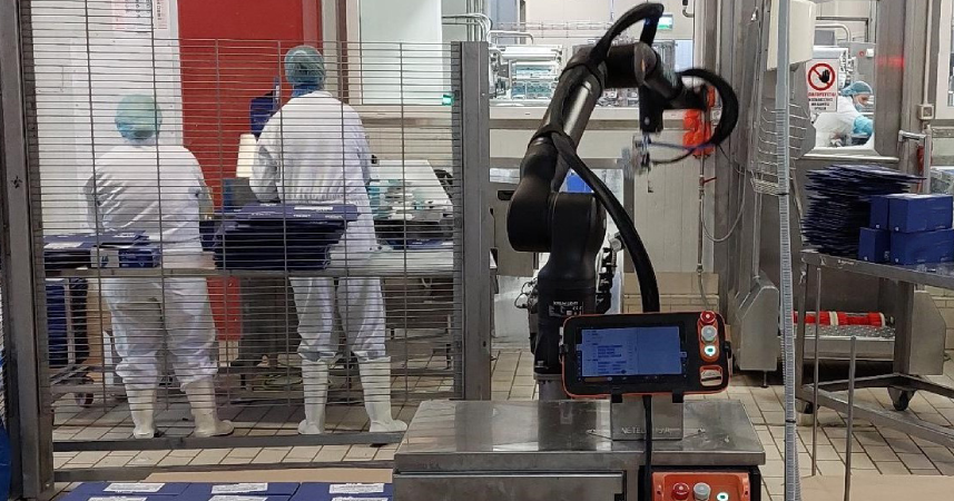 Robotic Arms in Food and Beverage Packaging